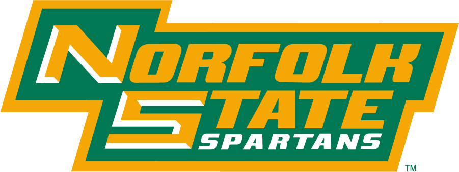 Norfolk State Spartans 1999-Pres Wordmark Logo v2 iron on transfers for T-shirts